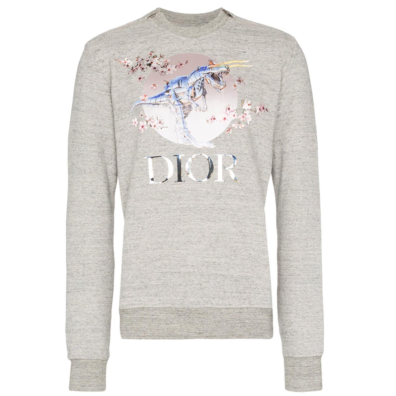 Chi tiết với hơn 66 dior x sorayama hoodie siêu hot trieuson5 #5 Chi tiết với hơn 66 dior x sorayama hoodie siêu hot trieuson5